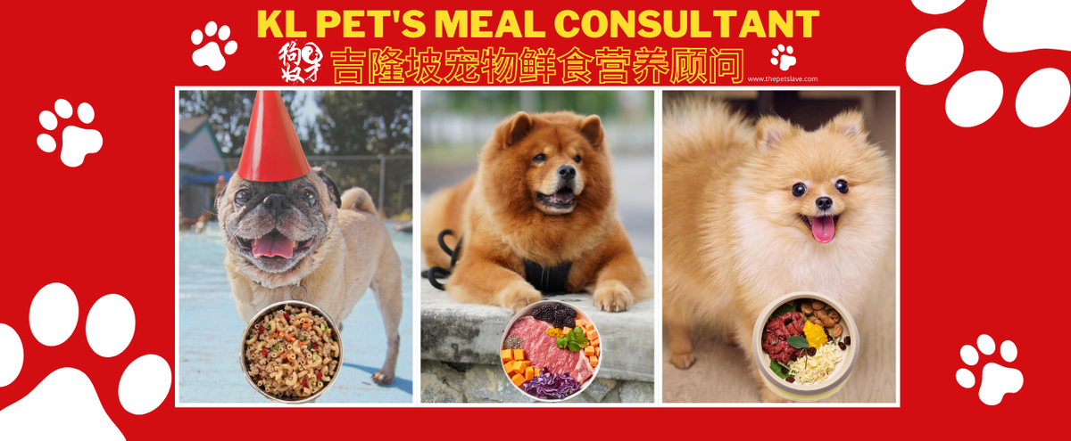 自从拥有了属于自己的狗狗后，它让你改变了什么？