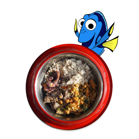Finding Dory ｜多块鱼